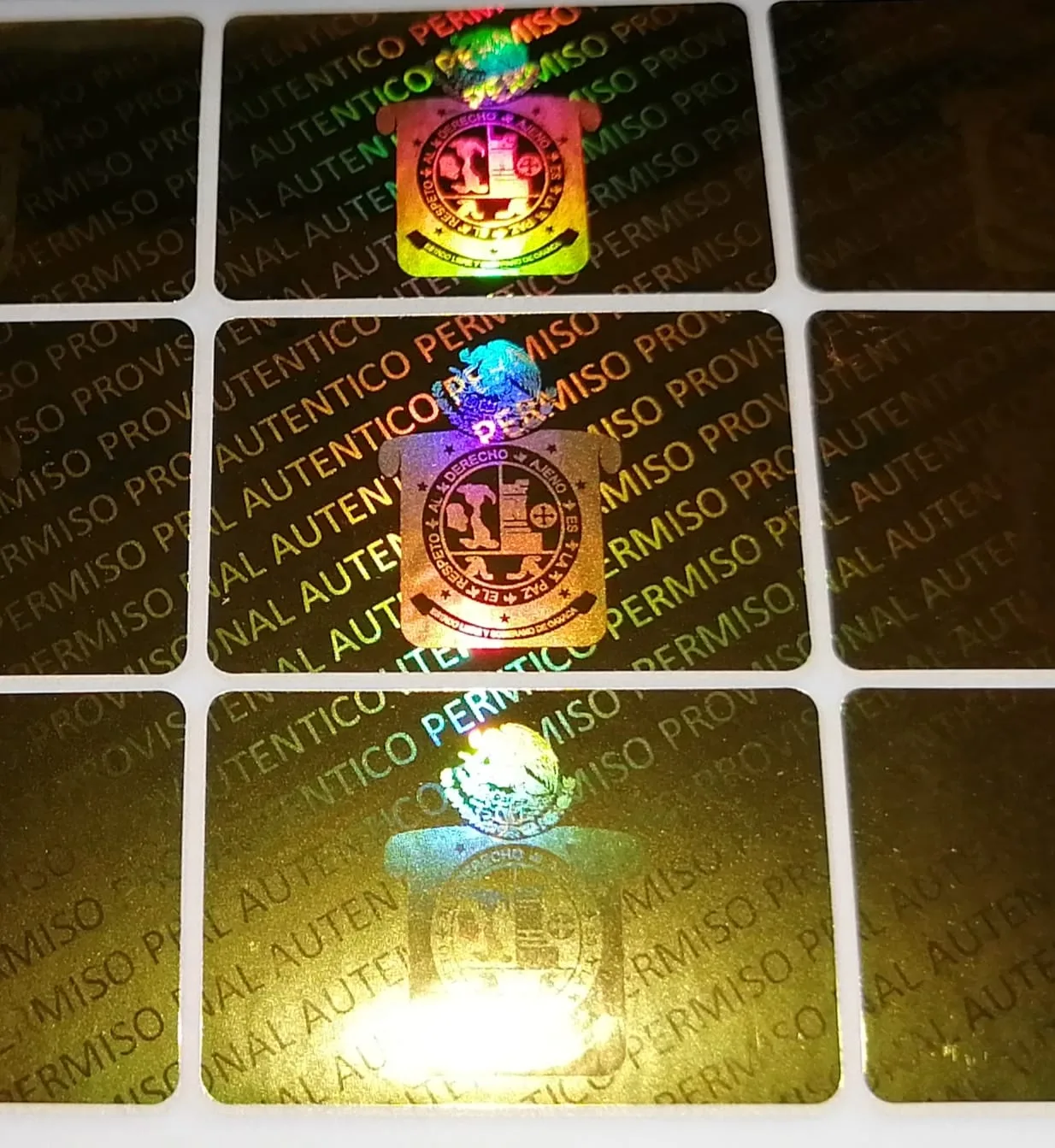 Holograma para permisos de oaxaca - holograma