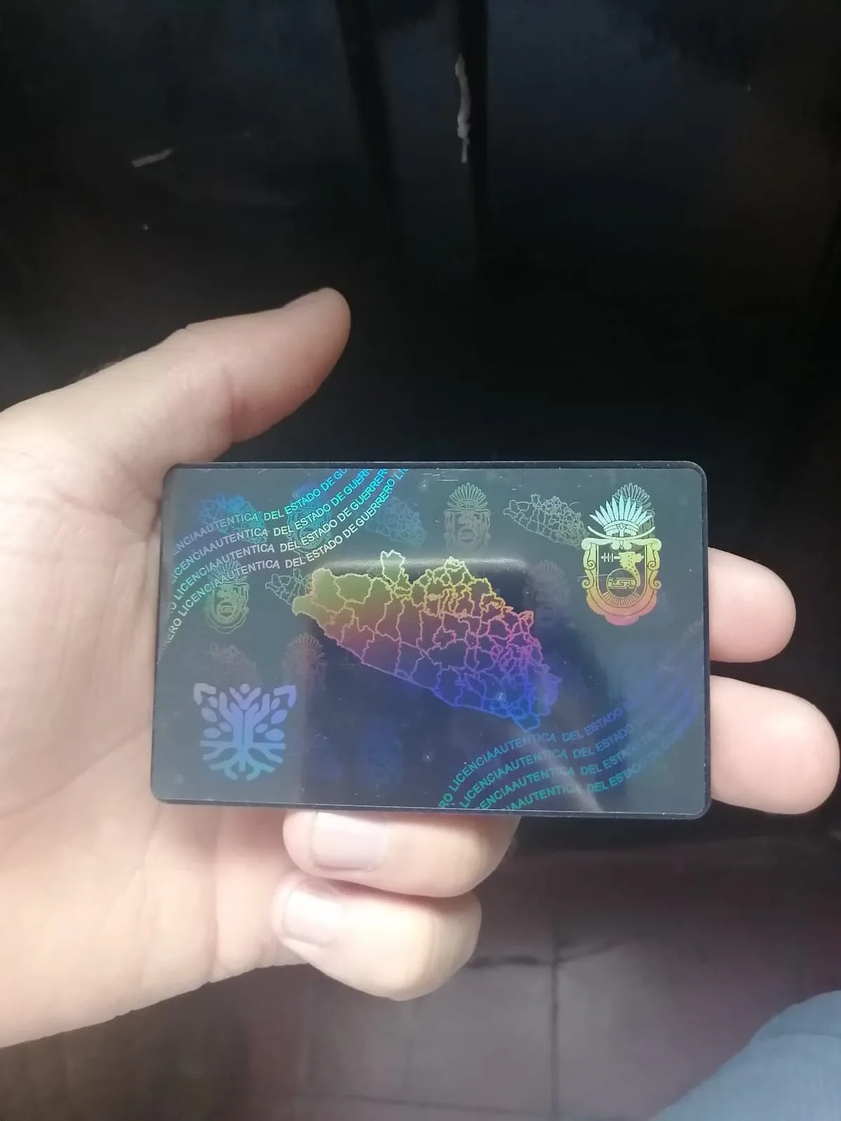 Holograma para credenciales de guerrero (modelo 2) - holograma