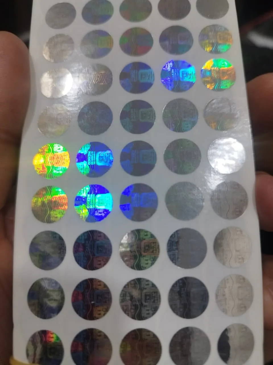 Circulito holografico del estado de mexico - holograma
