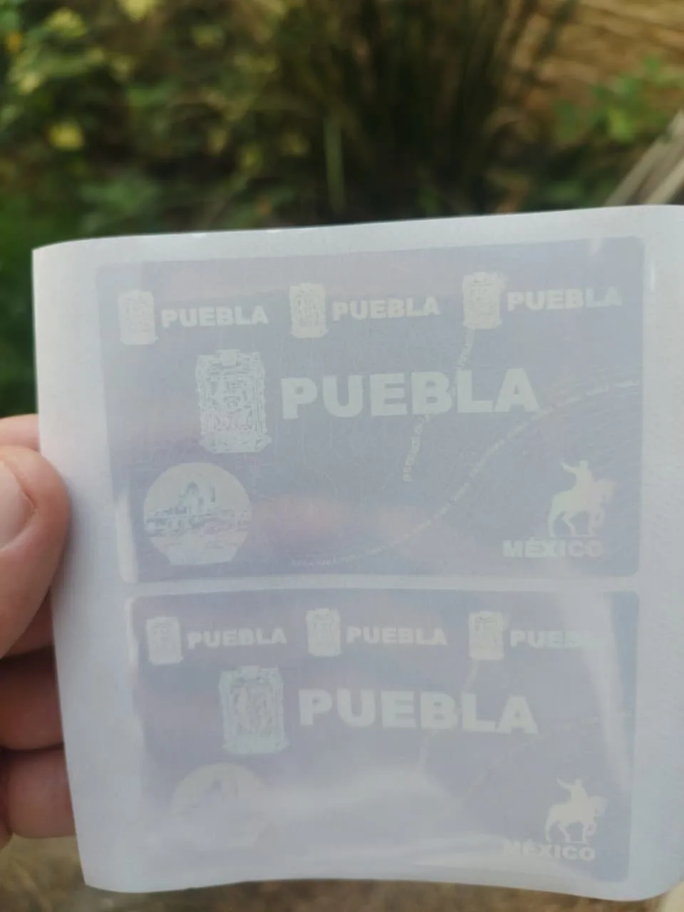 Holograma para credenciales de puebla otro modelo - holograma