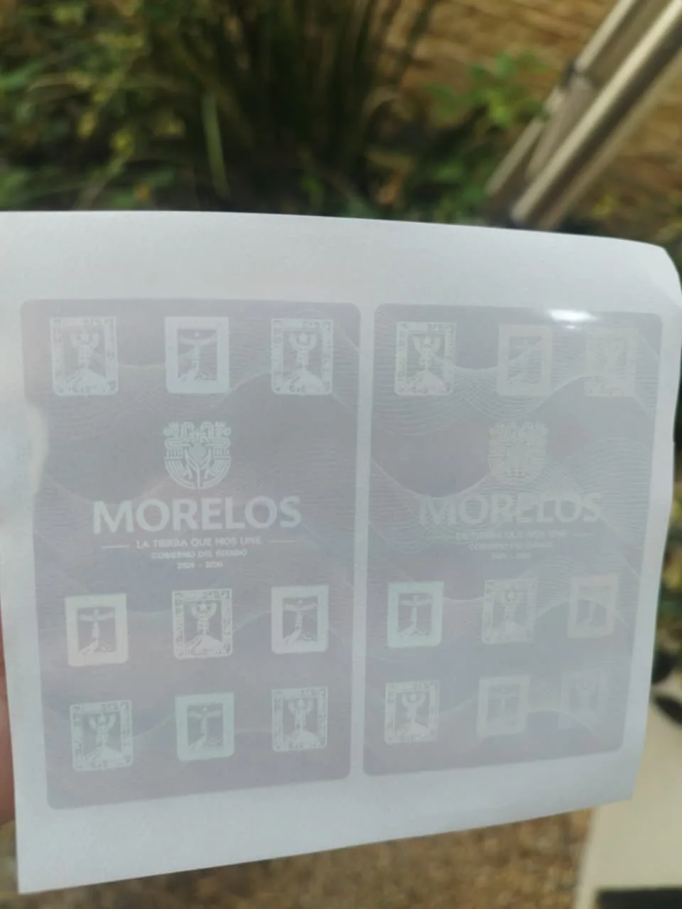 Mica para credenciales de morelos - holograma