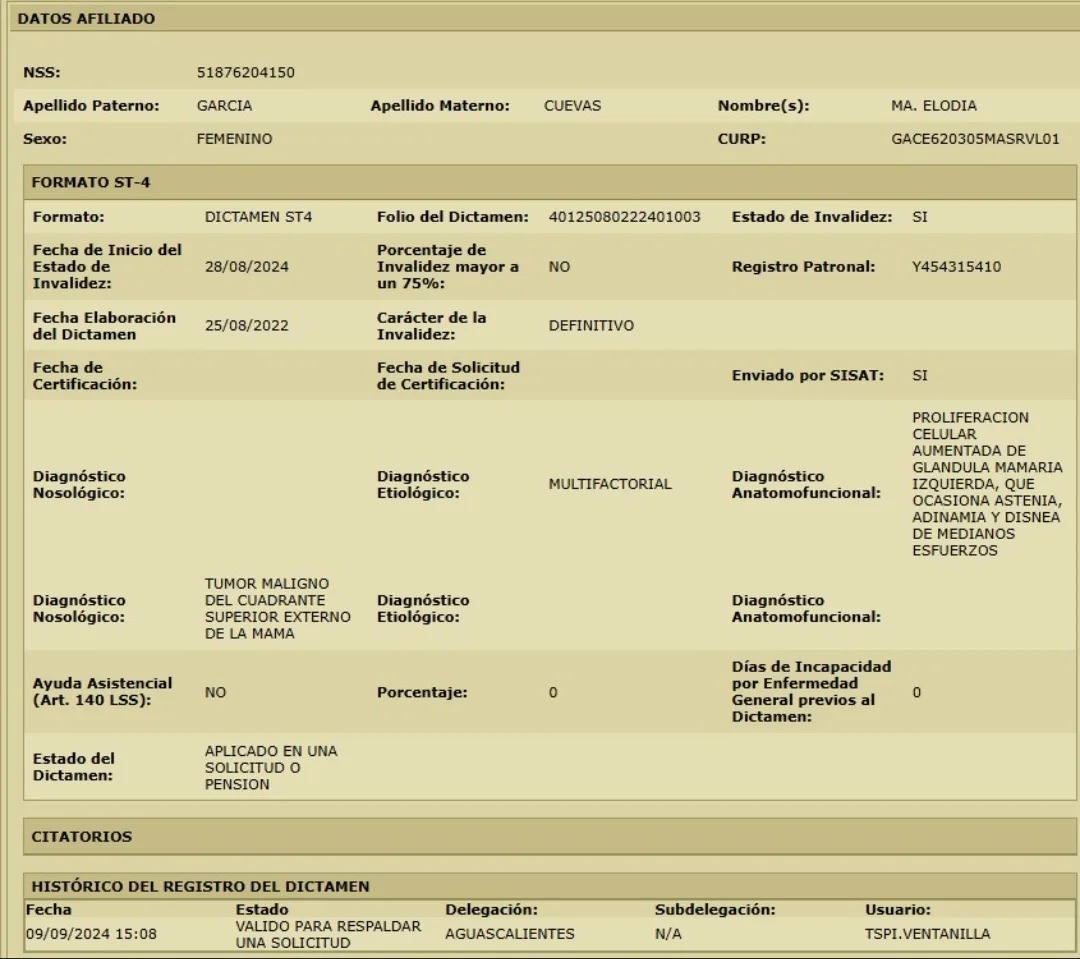 Pantalla de dictamen st4 o st3 imss — ejemplo 1