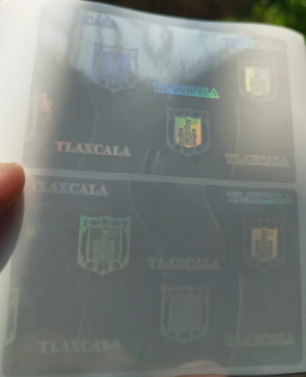 Holograma para credenciales de tlaxcala - holograma