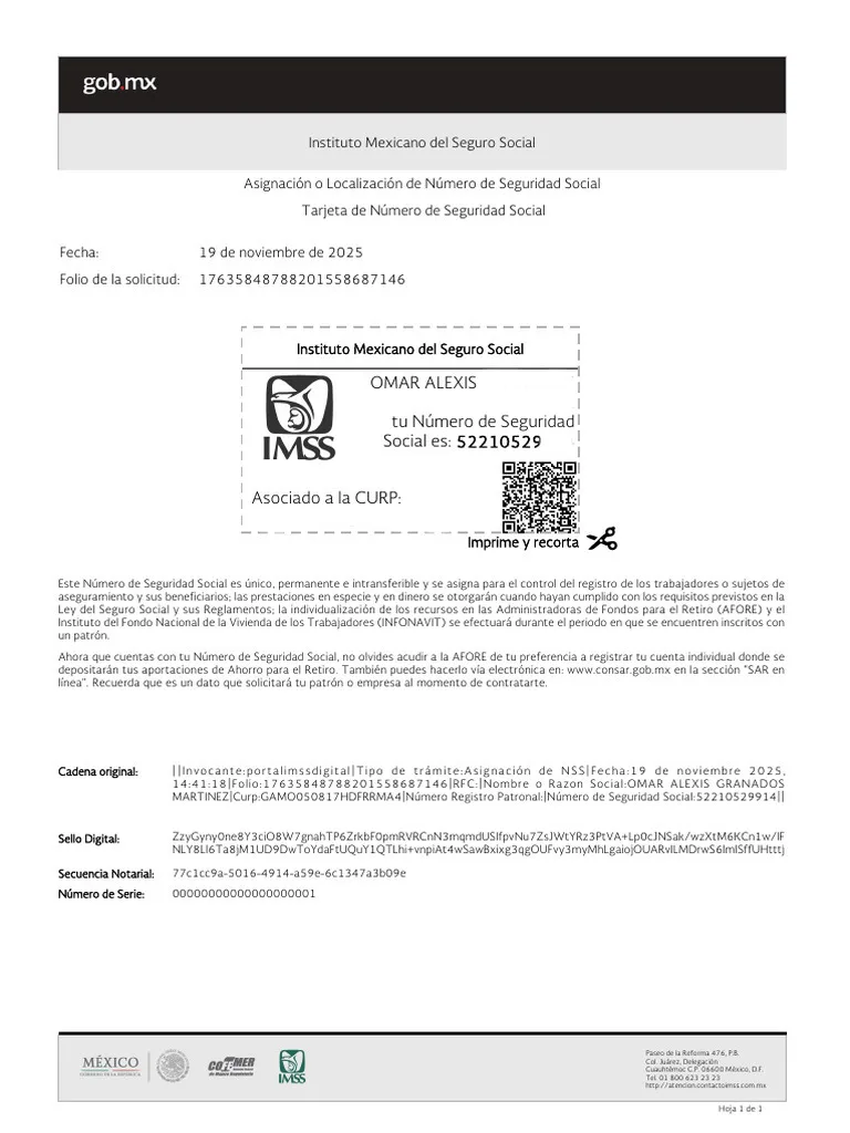 Tarjeta imss — ejemplo 1